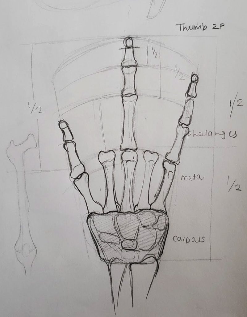 hand 06